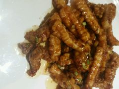 android_upload_pic-金汇酒楼(中山东区店)