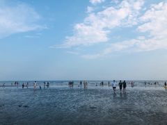 -江山半岛白浪滩景区