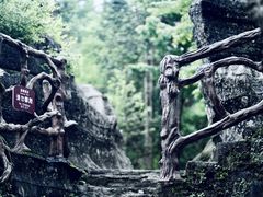 -梭布垭石林景区