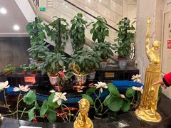 -王朝大酒店徐汇店-地面停车场