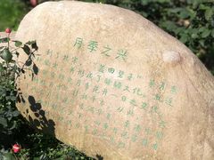 -鹅湖玫瑰文化园