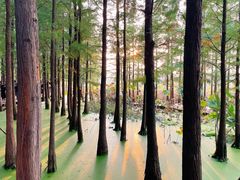 -云龙湖旅游景区