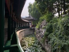 -莲池书院博物馆