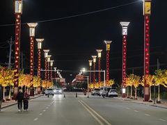 -特克斯八卦城