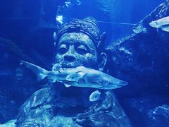 -暹罗海洋世界