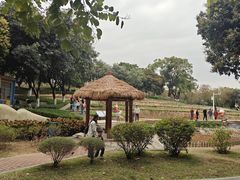 -天河儿童公园