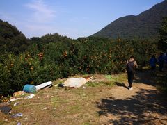 -福清灵石山国家森林公园