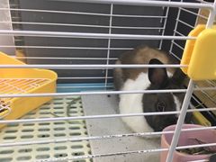 -UltraForce超源健身私教工作室(长楹天街精品店)