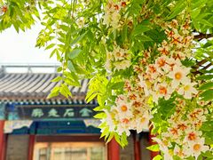 -北京石刻艺术博物馆(五塔寺)