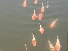 -昆山城市生态森林公园