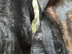-金鸡山公园