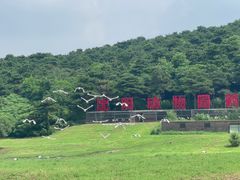 -沈阳森林动物园