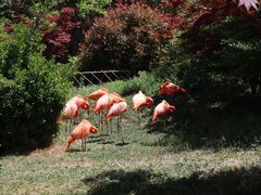 -青岛森林野生动物世界