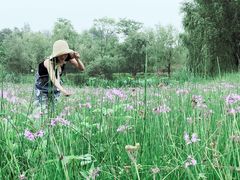 -白鹭湾湿地公园