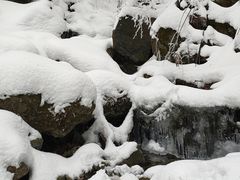 -终南山国家森林公园