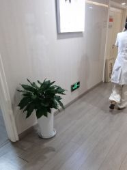 -安徽合肥韩美整形外科医院