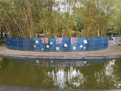 -深圳市儿童乐园