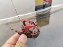 -西海岸生态观光园