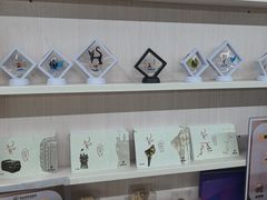 -青岛贝壳博物馆
