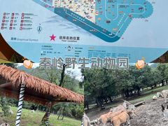 -西安秦岭野生动物园