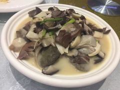 -鹅城