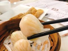 -老广酒楼(樱花店)