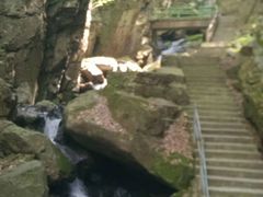 -藏龙百瀑风景区