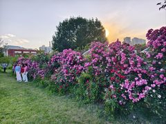 -太阳宫公园