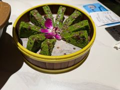 -阿露佳·舌尖上的安吉菜