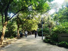 -九龙公园