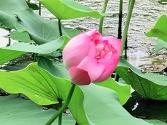 -沐仙湖湿地公园