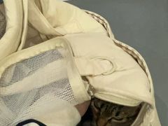 -艾贝尔宠物医院·24H转诊中心·肿瘤猫专科(江宁双龙店)