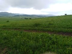 -塞罕坝国家级自然保护区