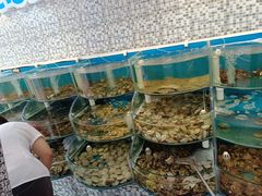 水产区-仙螺岛海鲜自助餐厅(总店)