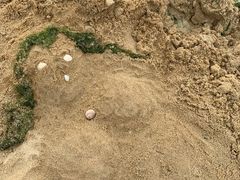 -高晓山馅饼店(牛庄百年店)