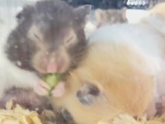 -奎屯友好时尚购物中心