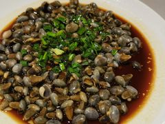 葱油泥螺-华盛丰温州大排档(东三环南路店)