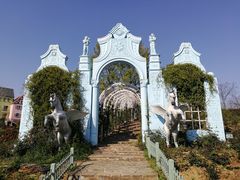 -大塘金香草谷