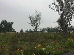 -白鹭湾湿地公园