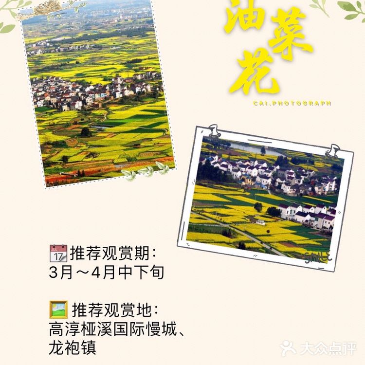 南京最全赏花地图🌸承包春天，有这份攻略就够了‼️