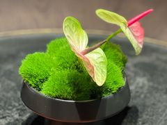 -拾久(朝阳公园店)