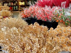 -循礼门鲜花花市(武汉循礼门店)