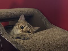-H立方实景剧情密室(天河旗舰店)