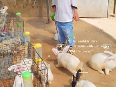 -前小桔亲子创意农场·草莓采摘·露营烧烤