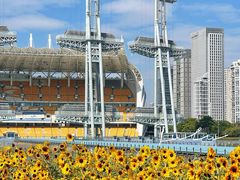 -海心沙亚运公园