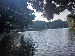 -荔湾湖公园