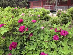 -大钟寺古钟博物馆