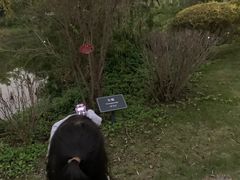 -厦门悦华酒店