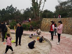 -铁山坪森林公园