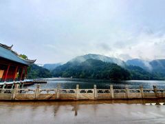 -六广门毛阿姨糯米饭